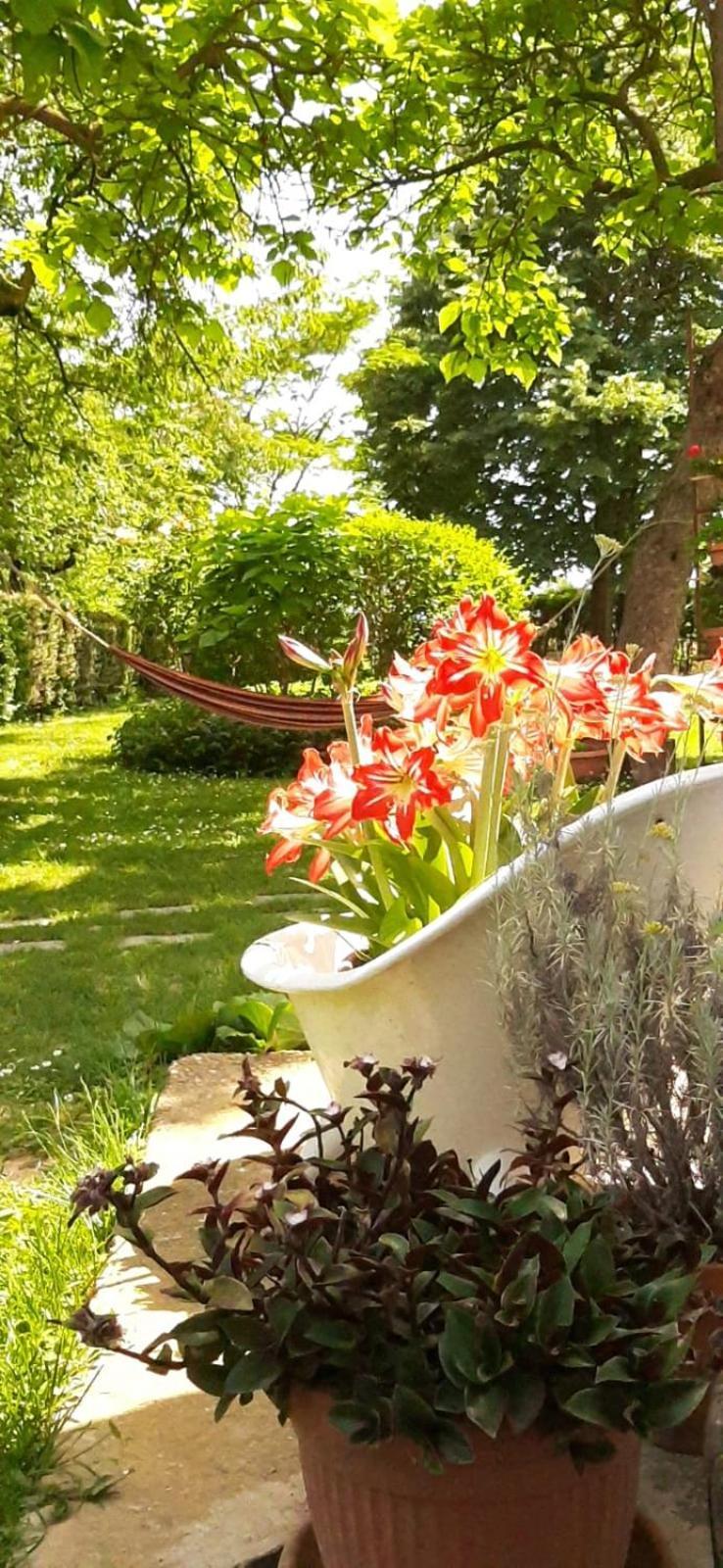 Villa Amai Lequio Tanaro ภายนอก รูปภาพ